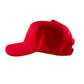 V Red Logo Dad Hat